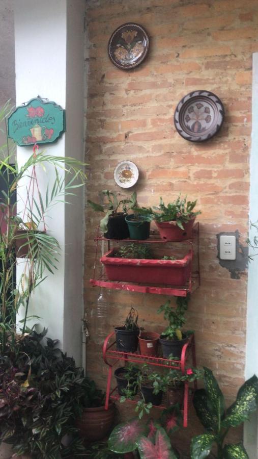 La Petite Maison De Diana Ασουνσιόν Εξωτερικό φωτογραφία