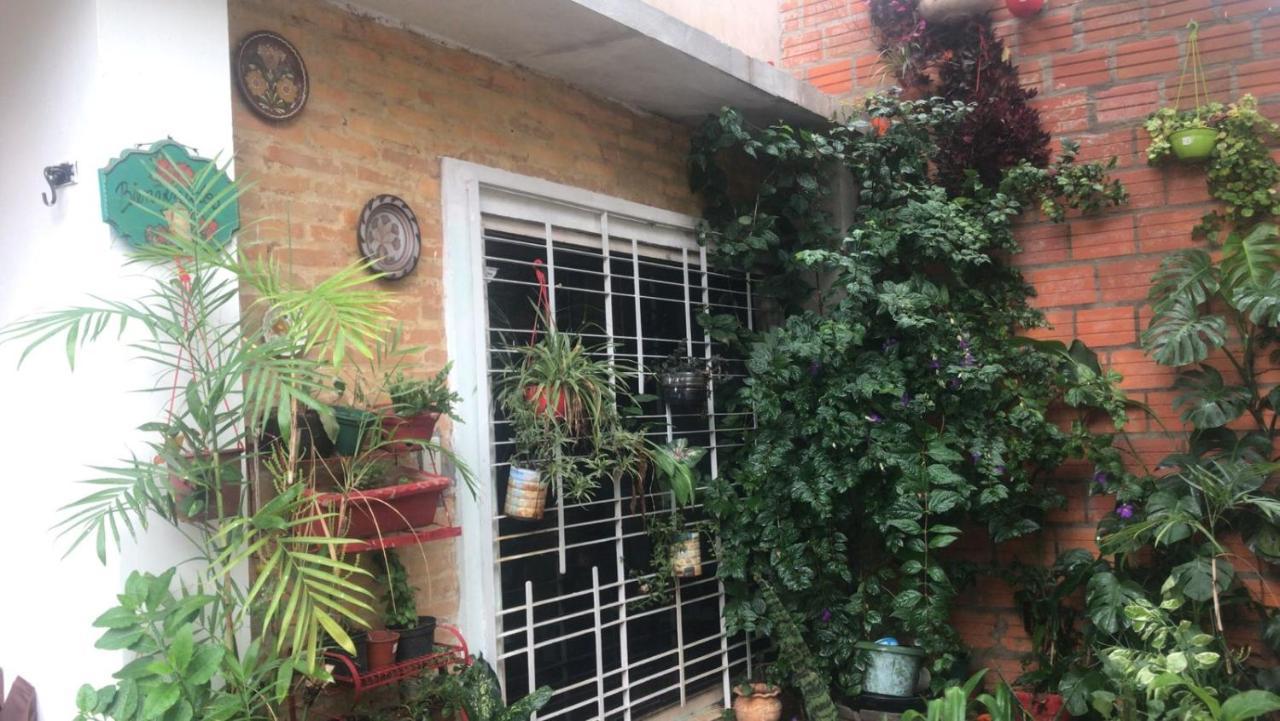 La Petite Maison De Diana Ασουνσιόν Εξωτερικό φωτογραφία