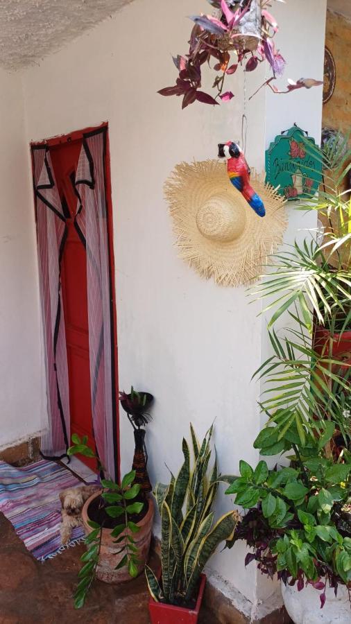 La Petite Maison De Diana Ασουνσιόν Εξωτερικό φωτογραφία