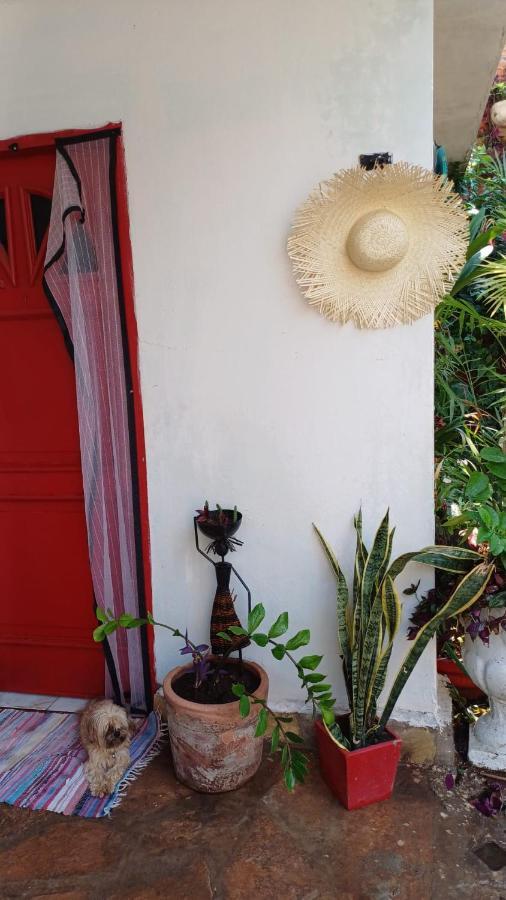 La Petite Maison De Diana Ασουνσιόν Εξωτερικό φωτογραφία