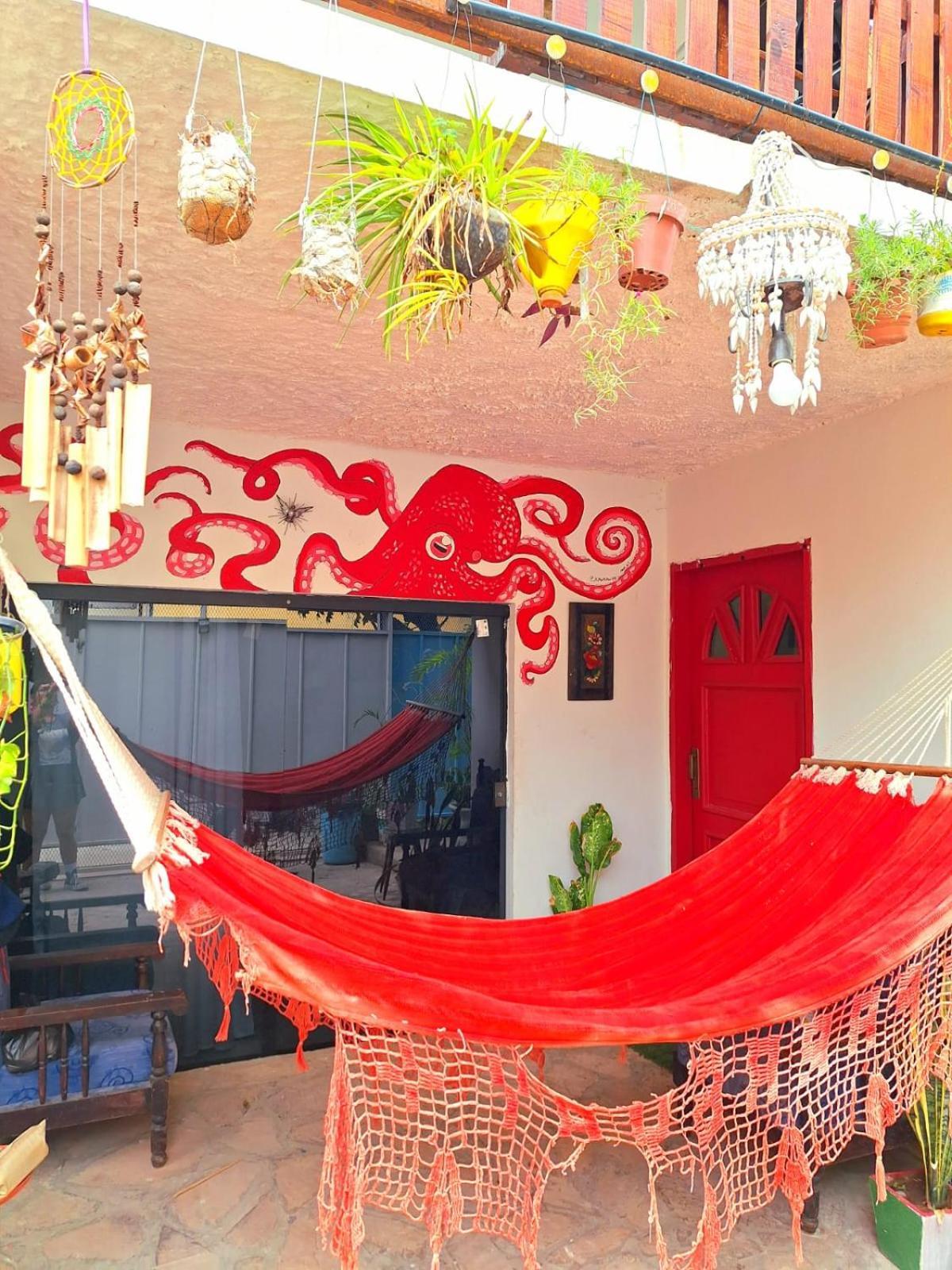 La Petite Maison De Diana Ασουνσιόν Εξωτερικό φωτογραφία